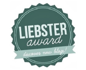 20140221_LIEBSTER Award